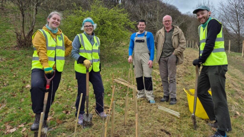 Image of people planting trees